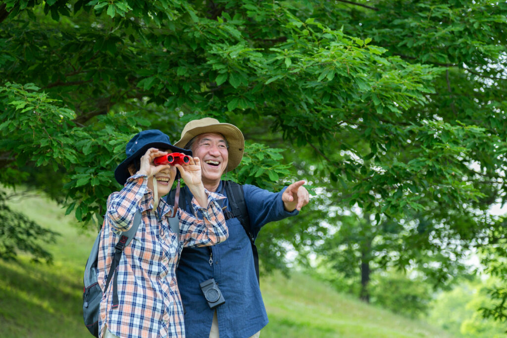 Senior Bird Watching Spring Activities for Seniors: Embracing the Season of Renewal